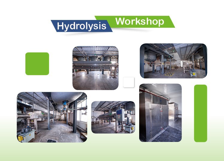 Hydrolysis workshop Hydrolysis workshop