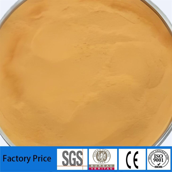 Green Tea Extract Powder